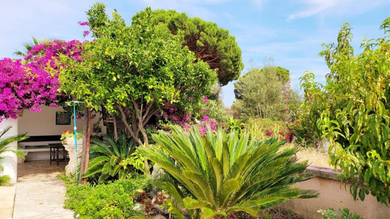 Villa Provencale A Sainte Maxime, Golf De Saint Tropez מראה חיצוני תמונה