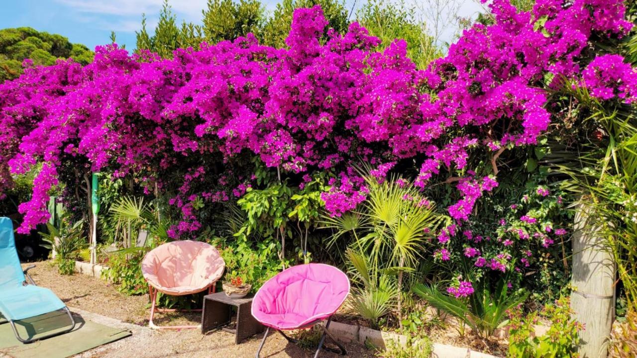 Villa Provencale A Sainte Maxime, Golf De Saint Tropez מראה חיצוני תמונה