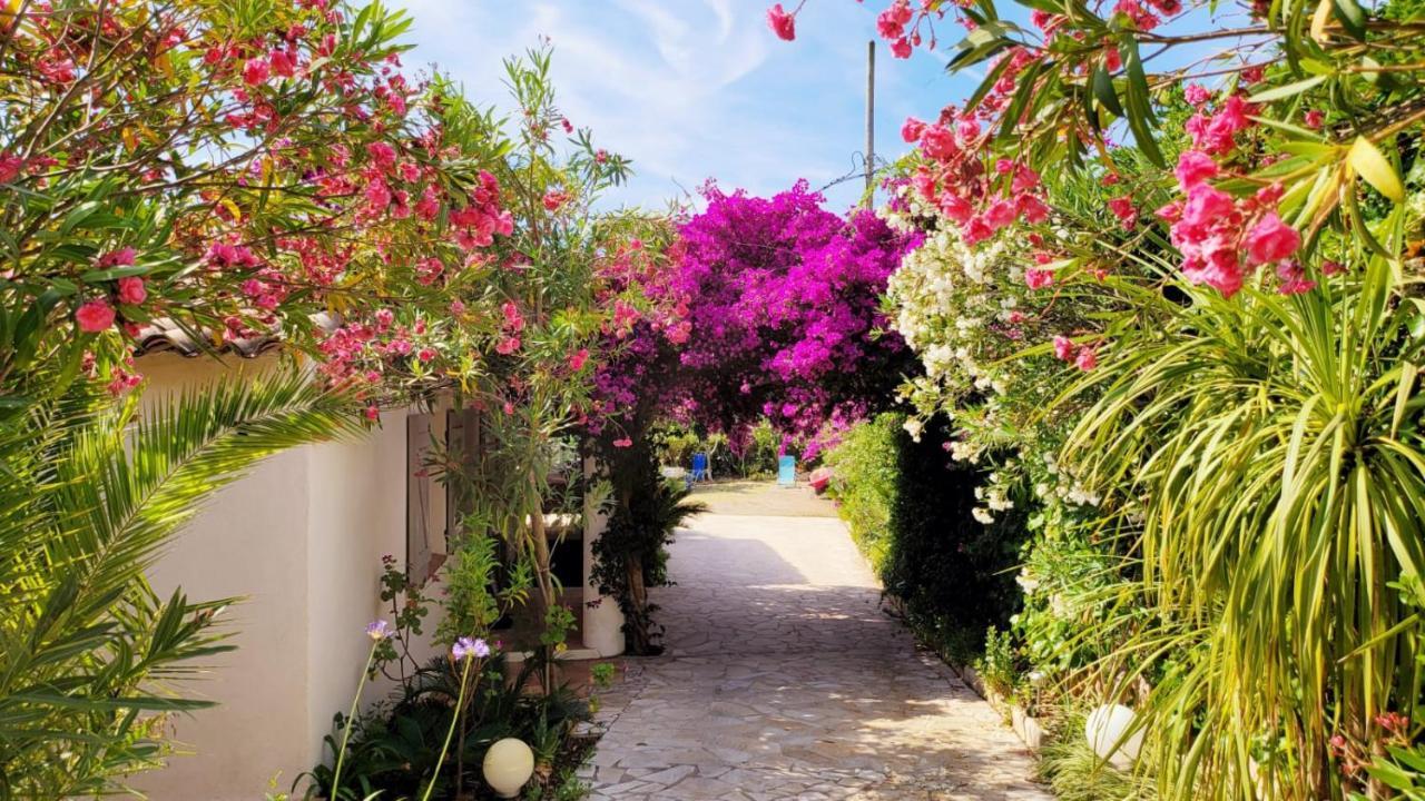 Villa Provencale A Sainte Maxime, Golf De Saint Tropez מראה חיצוני תמונה
