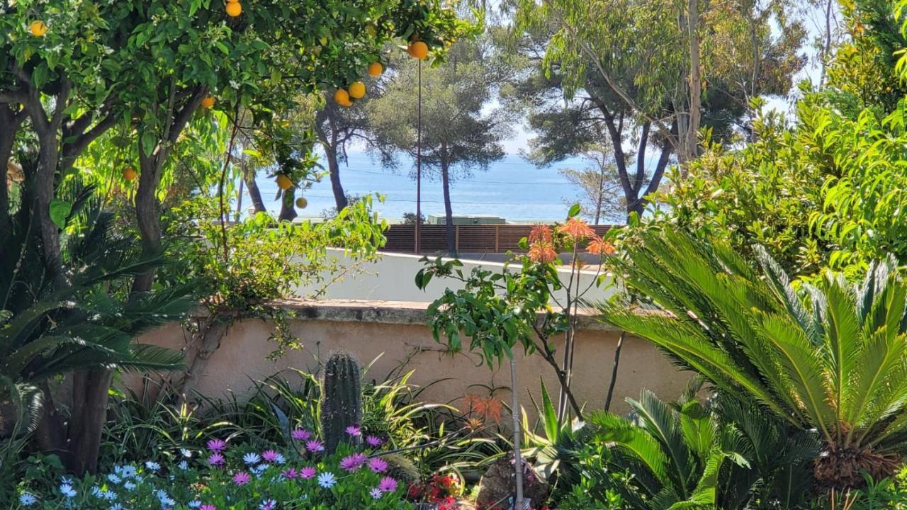 Villa Provencale A Sainte Maxime, Golf De Saint Tropez מראה חיצוני תמונה