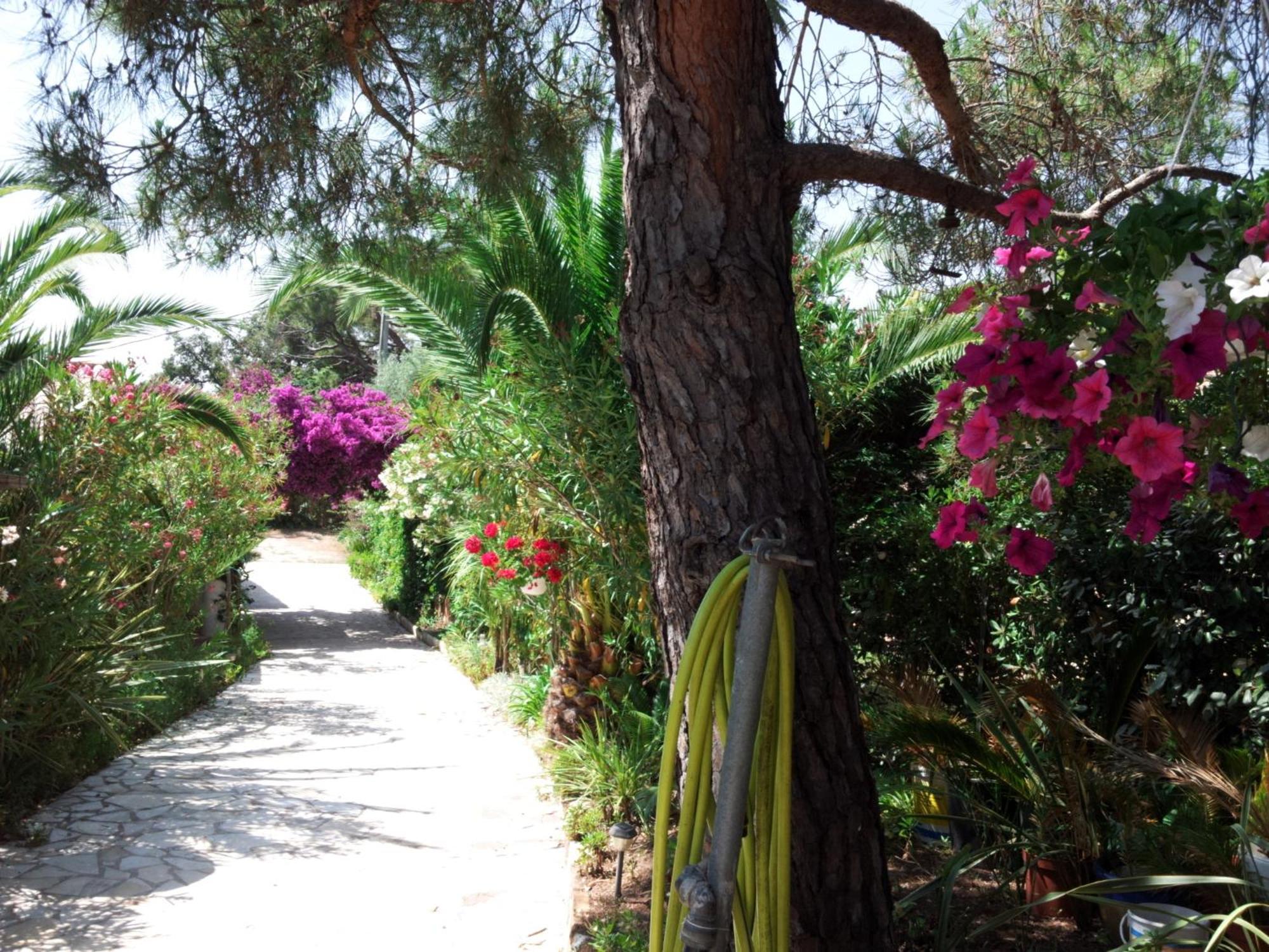 Villa Provencale A Sainte Maxime, Golf De Saint Tropez מראה חיצוני תמונה