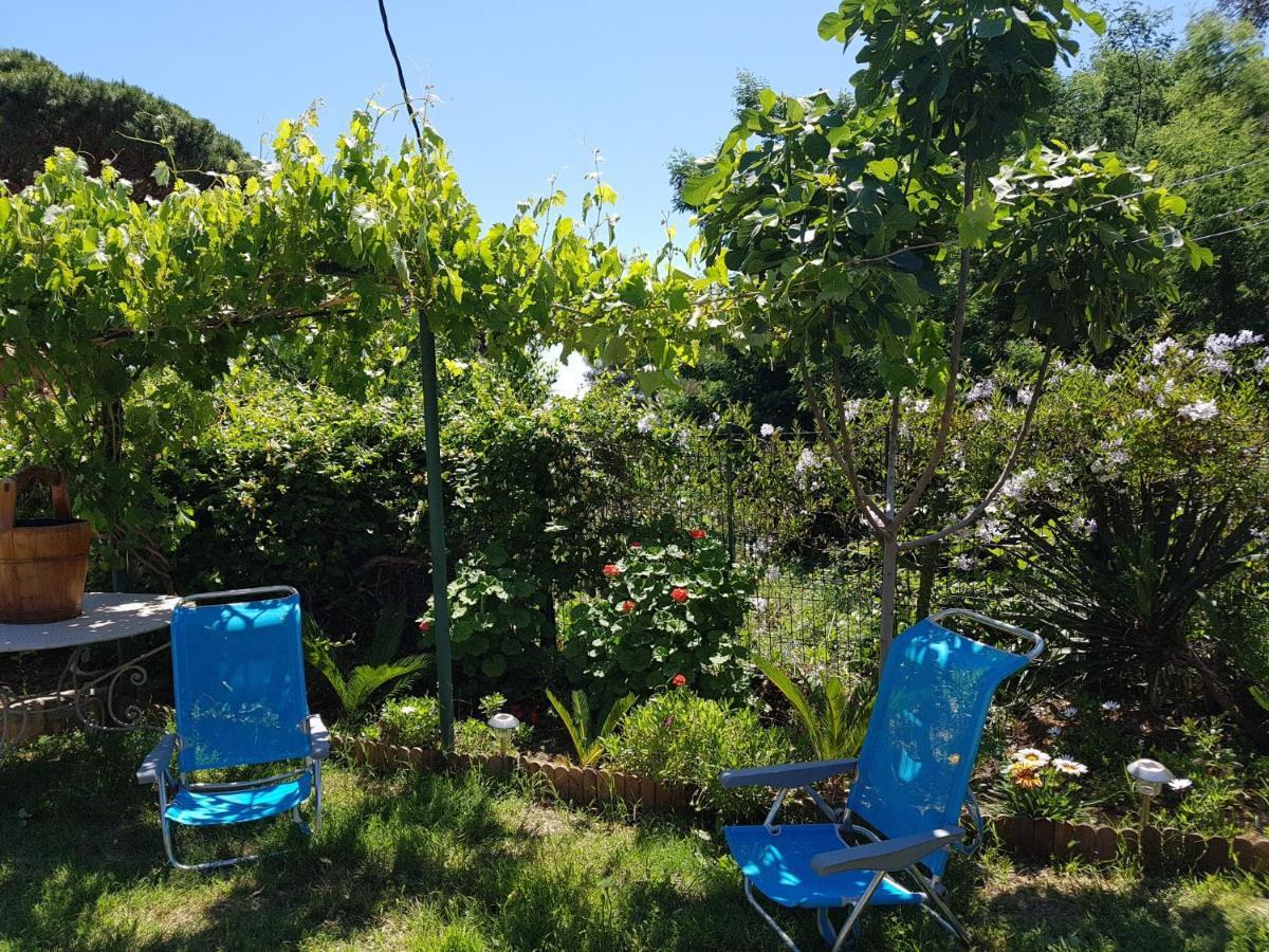 Villa Provencale A Sainte Maxime, Golf De Saint Tropez מראה חיצוני תמונה